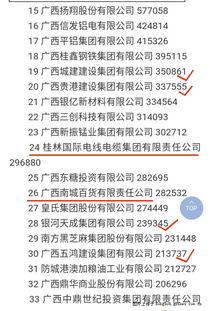 新区开放时间最新爆料,揭秘最新爆料,共赴未来繁华盛宴”
