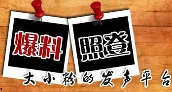 垫江新闻大爆料最新,揭秘垫江最新热点事件!