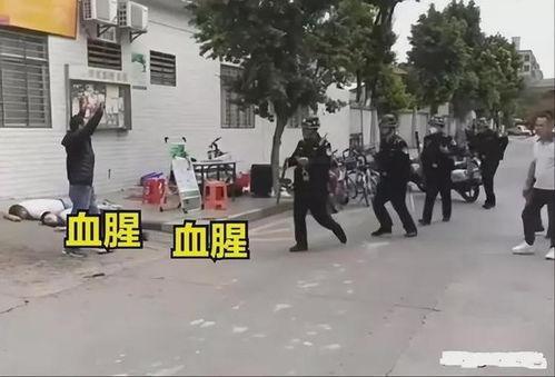 东莞凤岗爆料案件最新,真相揭秘,疑云重重!